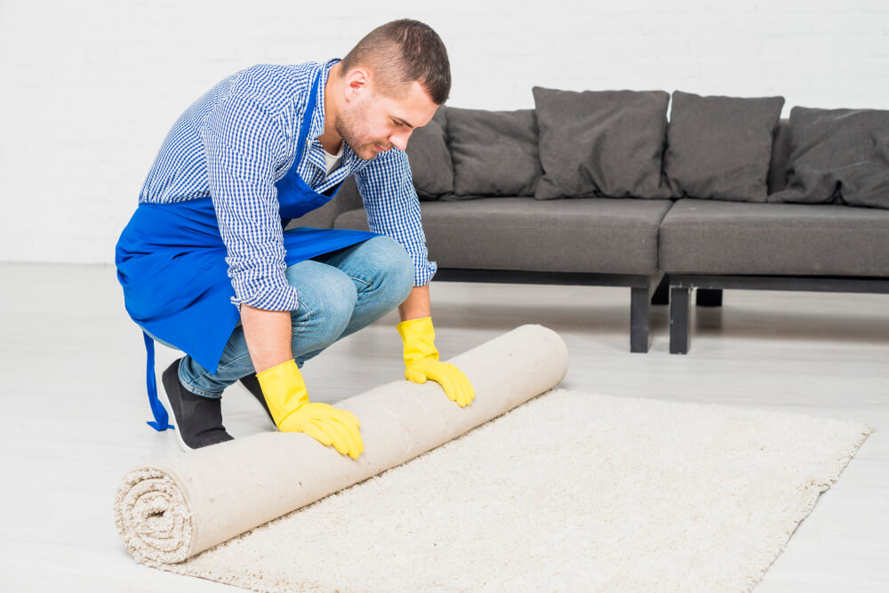 Carpet-Dry-Cleaning